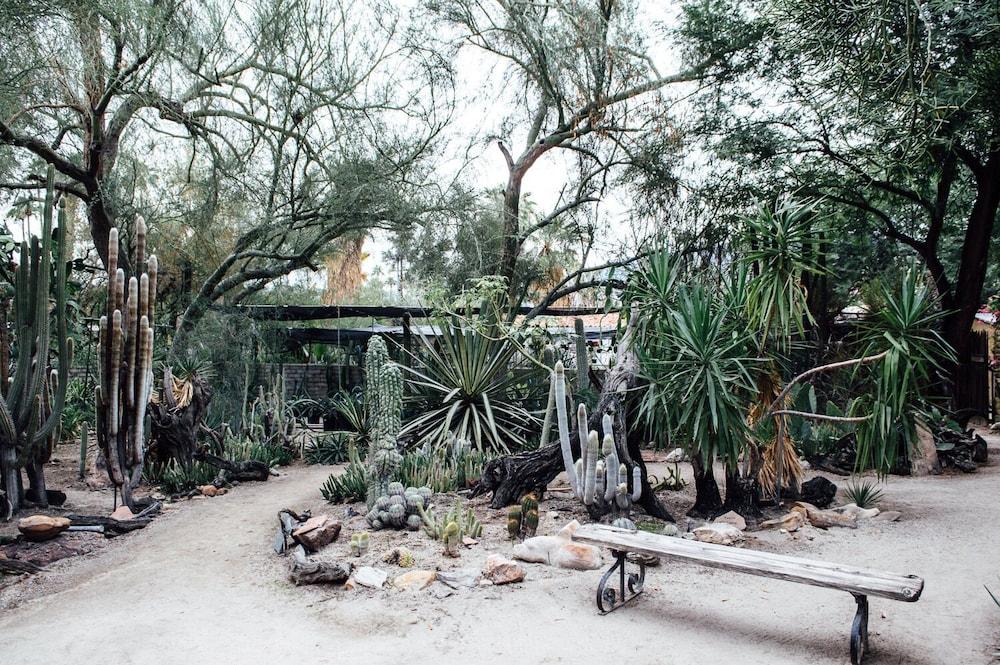 Desert Lodge Παλμ Σπρινγκς Εξωτερικό φωτογραφία