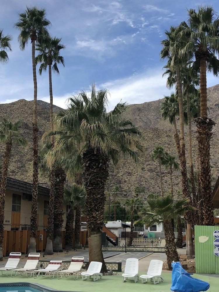 Desert Lodge Παλμ Σπρινγκς Εξωτερικό φωτογραφία