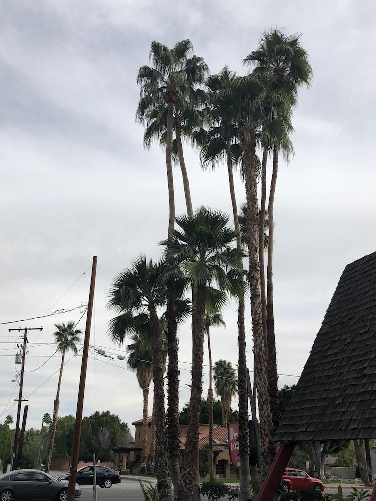 Desert Lodge Παλμ Σπρινγκς Εξωτερικό φωτογραφία