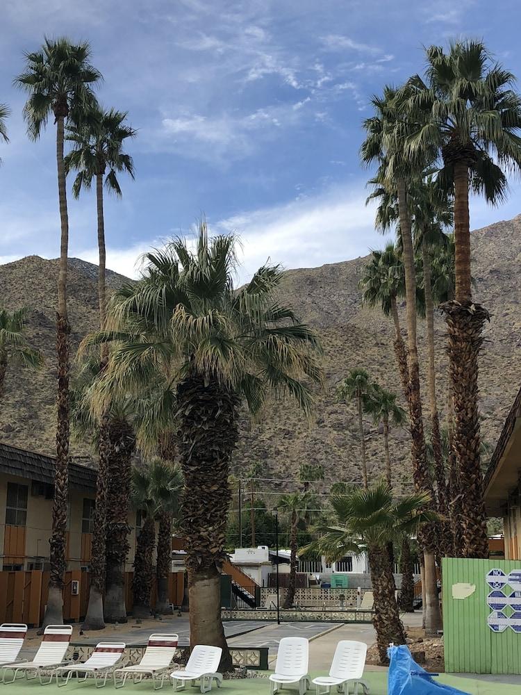 Desert Lodge Παλμ Σπρινγκς Εξωτερικό φωτογραφία