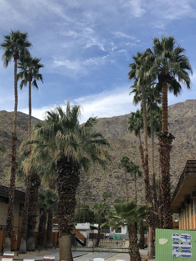 Desert Lodge Παλμ Σπρινγκς Εξωτερικό φωτογραφία