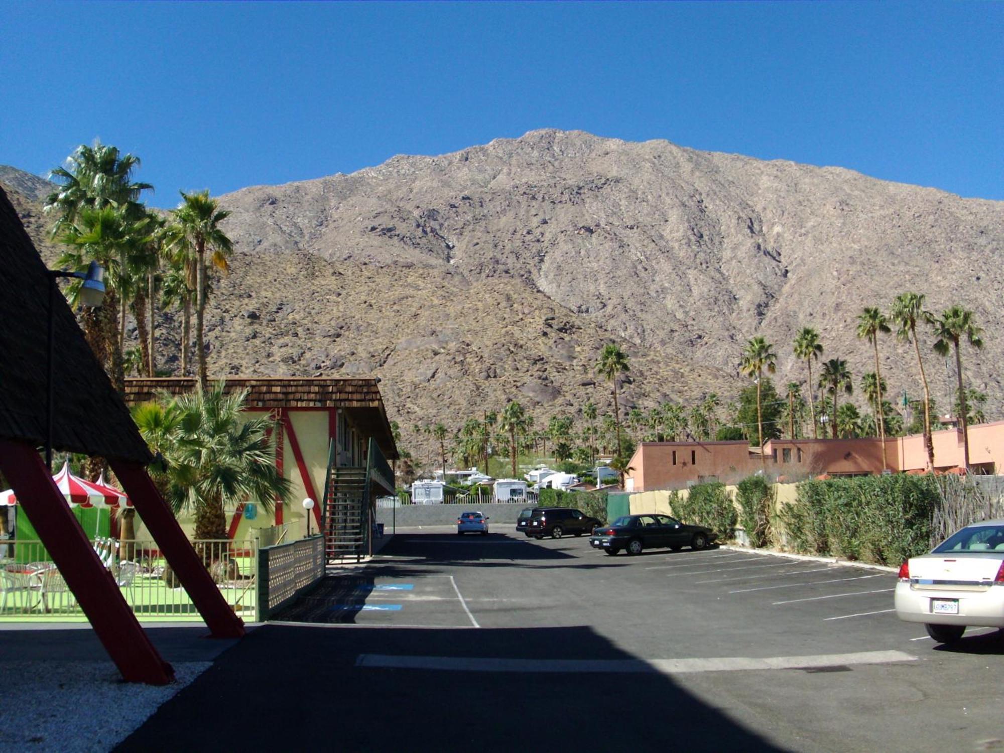 Desert Lodge Παλμ Σπρινγκς Εξωτερικό φωτογραφία